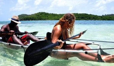 Fleur-dO-La-pirogue-transparente-5-Copie-380×260