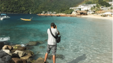 Une-plage-propre-810×548
