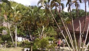 100_1265-e1528064118644-380×260