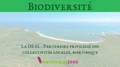 Biodiversité martinique
