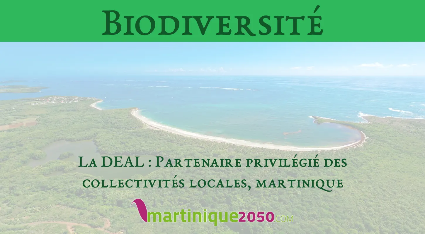 Biodiversité martinique