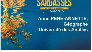 Impact-sanitaire-des-Sargasses-sur-les-populations-12-2048