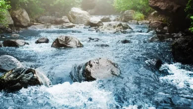eau-de-source