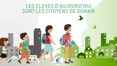 eco-ecole
