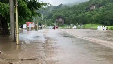 martinique-66e04feae1fe9814521237