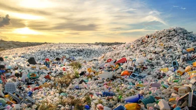 pollution-plastique