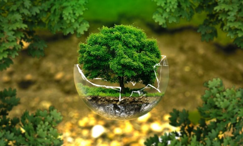 protection-environmental-1024×683