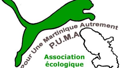 puma_logo_600x400