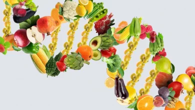 regime-alimentaire-gene-aliments-couv