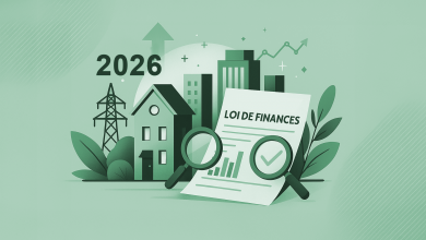 68c41f204ffd08a4445794e1_loi de finances