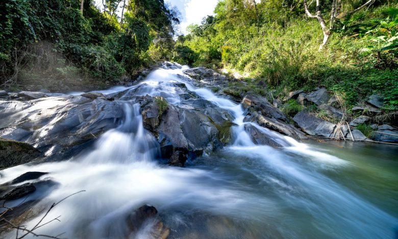 quang-nguyen-vinh-esbOuKlD4Ho-unsplash