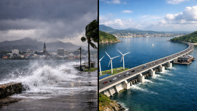 Fort-de-France _ tempête et solutions durables