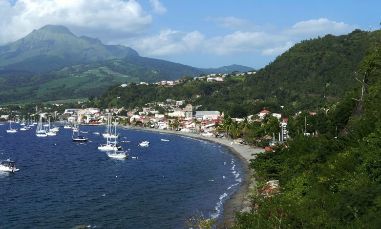 falco-martinique-4884459_1280
