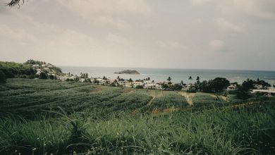 jametlene-reskp-dgxoCQwKob8-unsplash