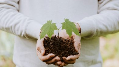 madara-Eurc8pMvox8-unsplash