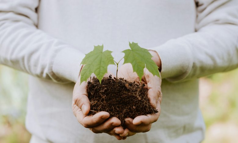 madara-Eurc8pMvox8-unsplash