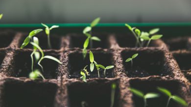 markus-spiske-vrbZVyX2k4I-unsplash