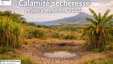 secheresse_juin_septembre_2025_1_4-2