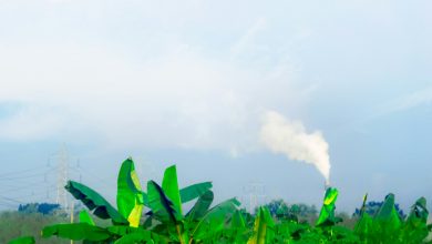 shanto-mazumder–m63aVr1qKk-unsplash