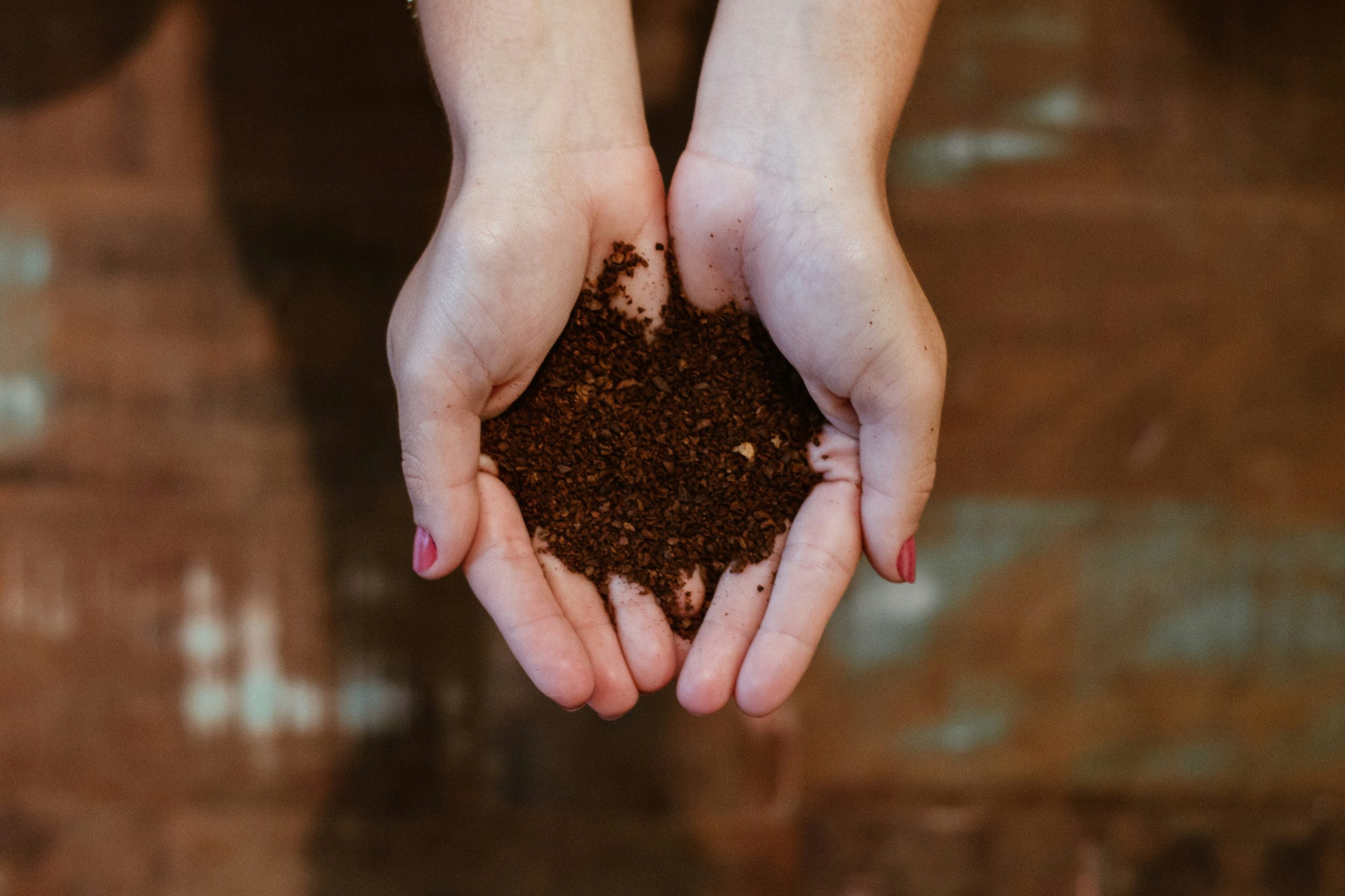 gabi-miranda-4PHtdJbtazk-unsplash