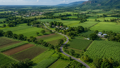 Transition alimentaire