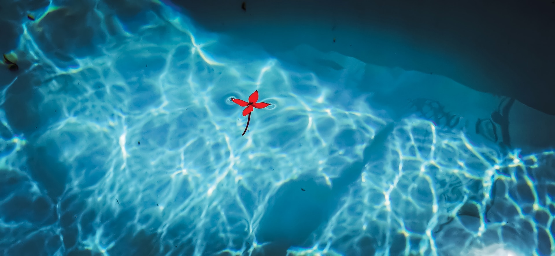 jametlene-reskp-RxmSHzDxoD0-unsplash