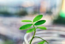 thomas-kinto-h_tvZ4UIYaM-unsplash