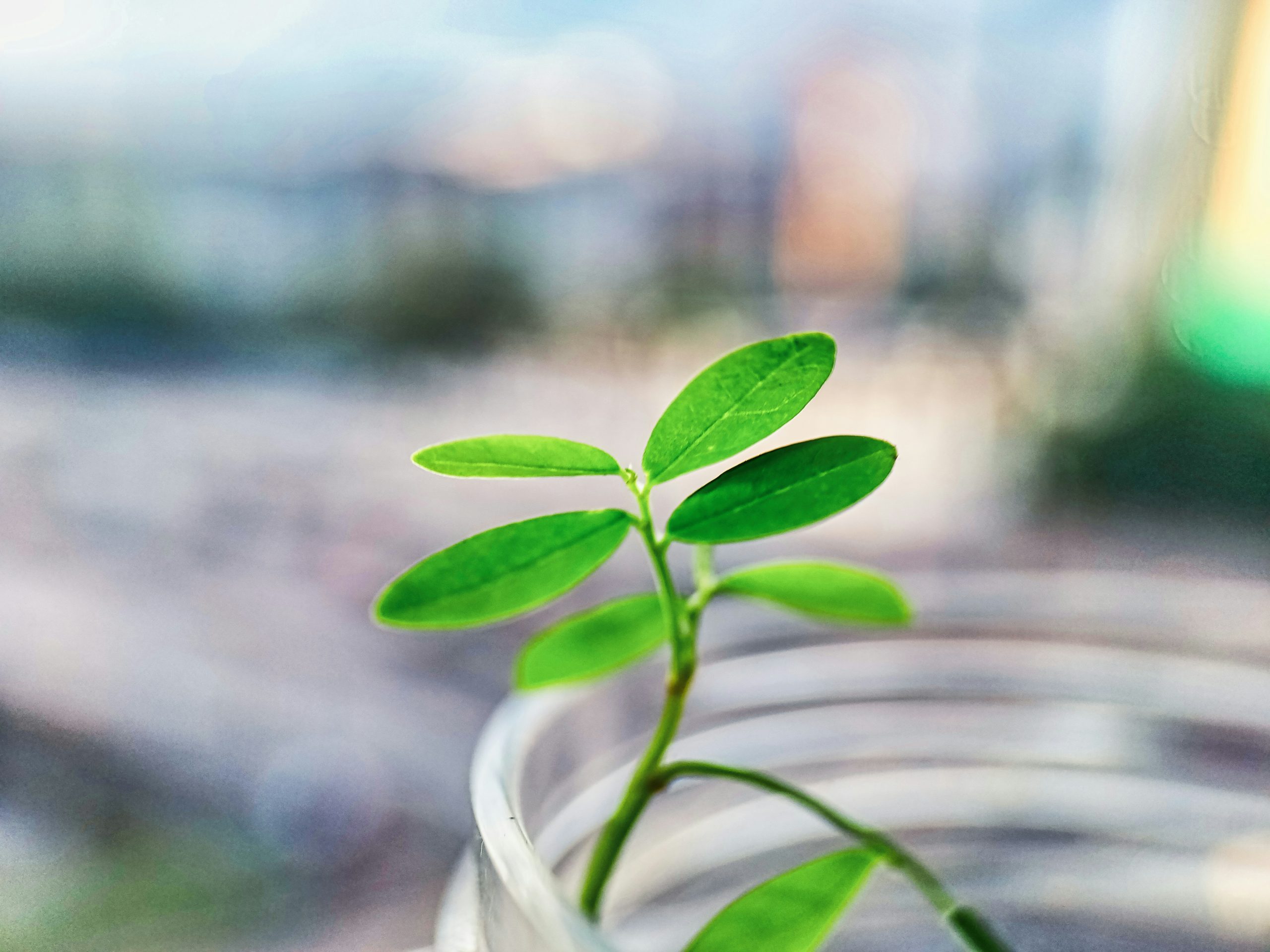 thomas-kinto-h_tvZ4UIYaM-unsplash