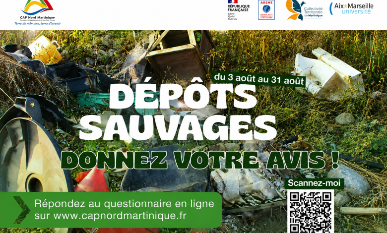 dépôts sauvages