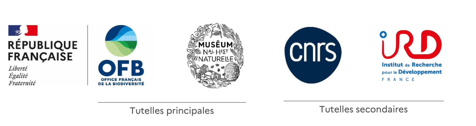 Logos des tutelles de PatriNat : OFB, Muséum national d’Histoire naturelle, CNRS et IRD