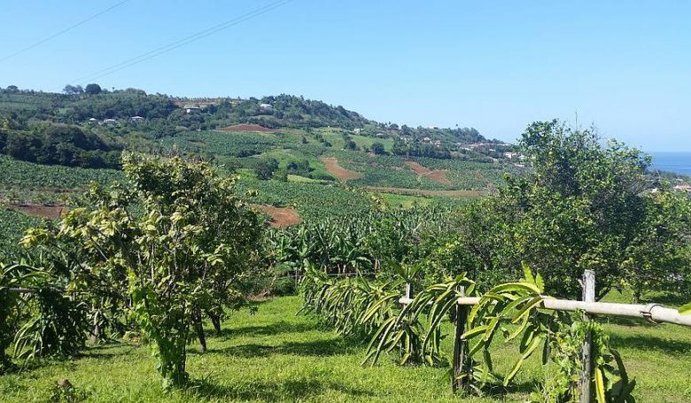 agriculture-810×455.jpg