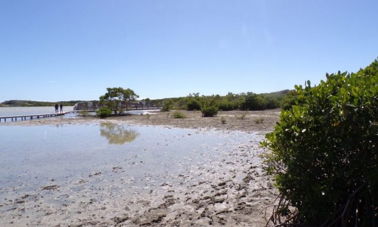 etang-saline-810×608.jpg